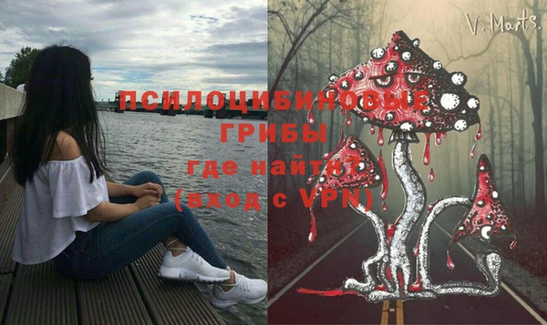 метамфетамин Белокуриха