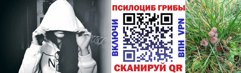 Псилоцибиновые грибы прущие грибы  как найти   KRAKEN сайт  Бутурлиновка 